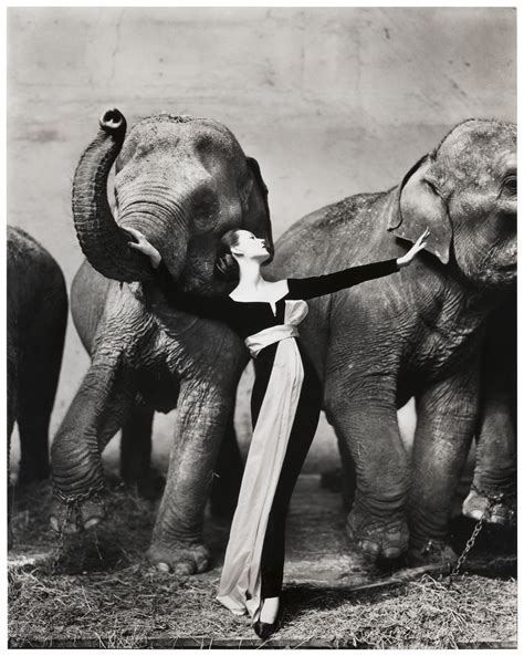 richard avedon artist